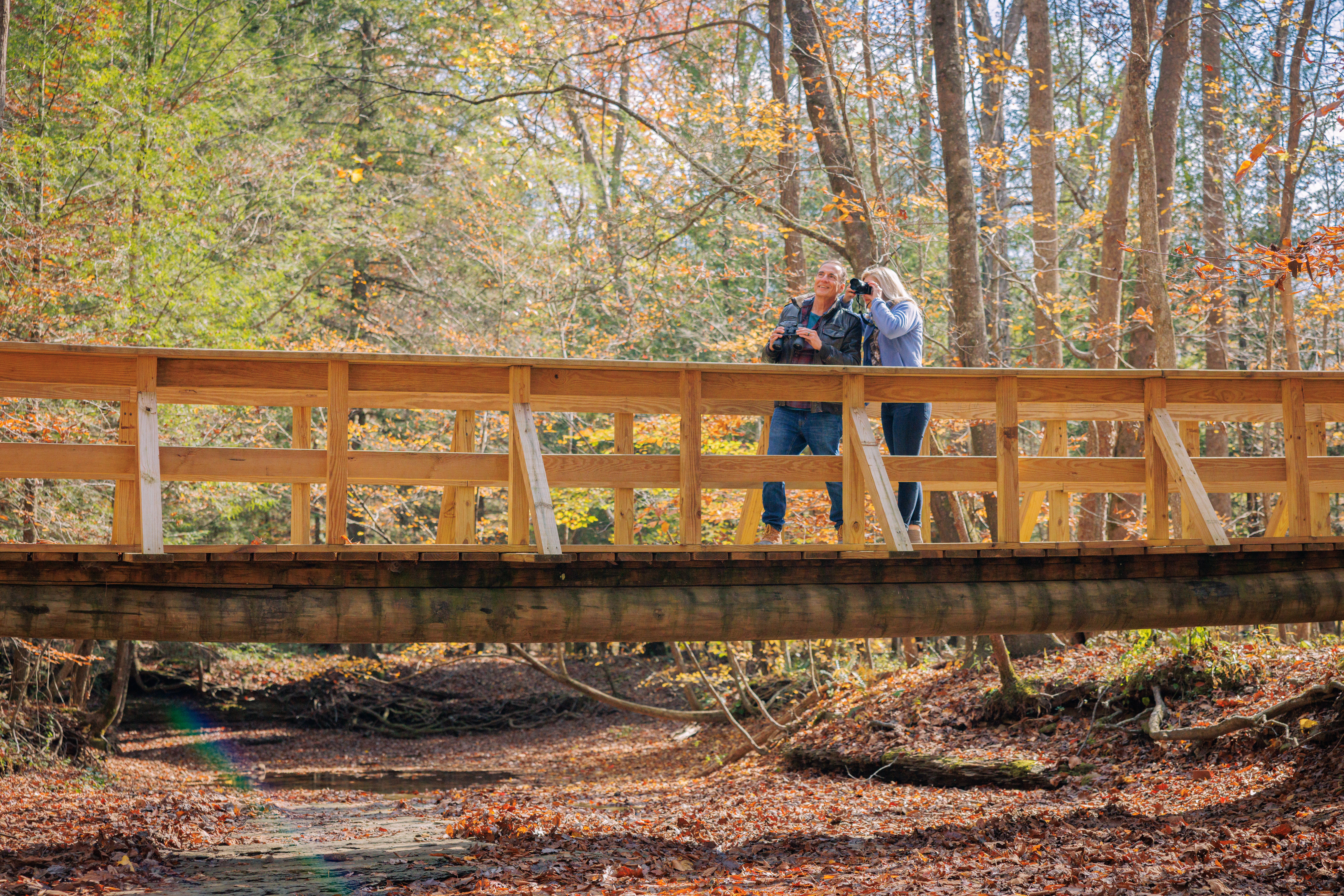 Morehead, Kentucky — Daniel Boone National Forest, Cave Run Lake & Downtown