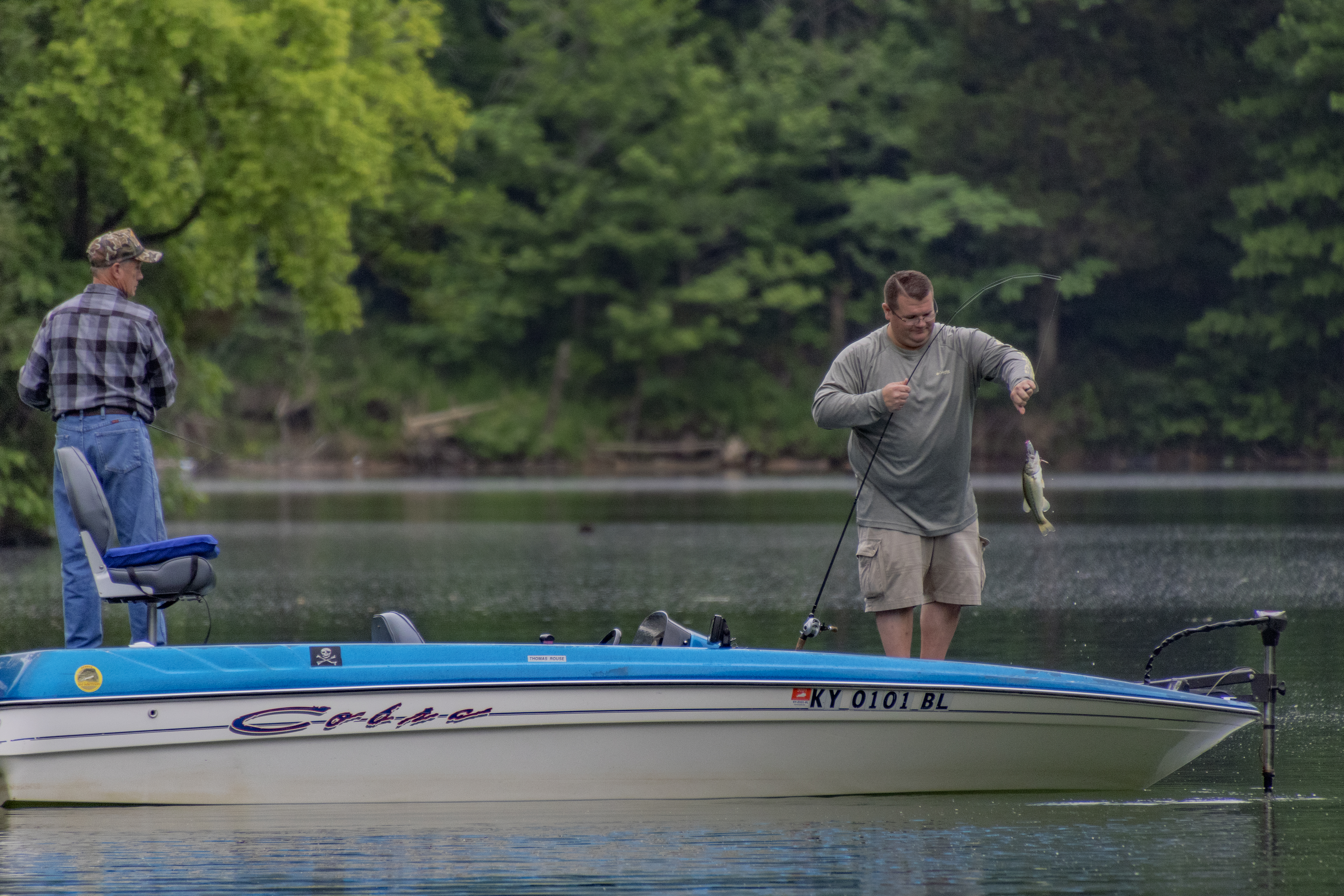 Prestonsburg, Kentucky — Elk Tours, Jenny Wiley Lake & Appalachian Heritage