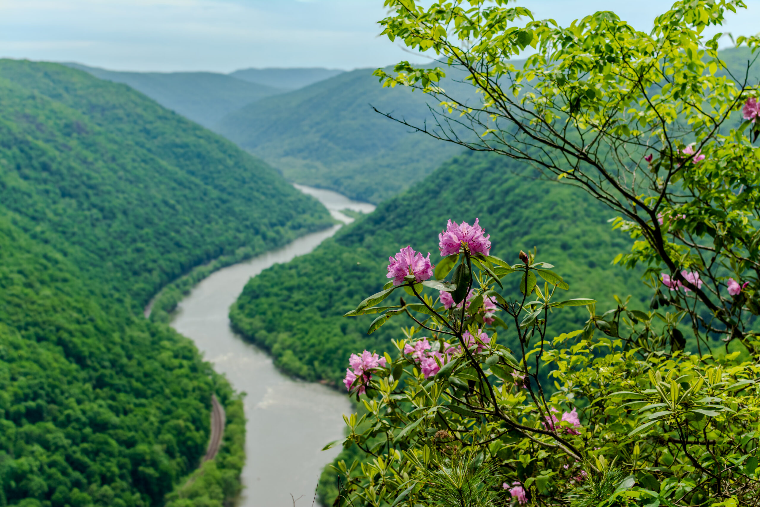 Explore the New River Gorge: Adventure by Day, Comfort by Night