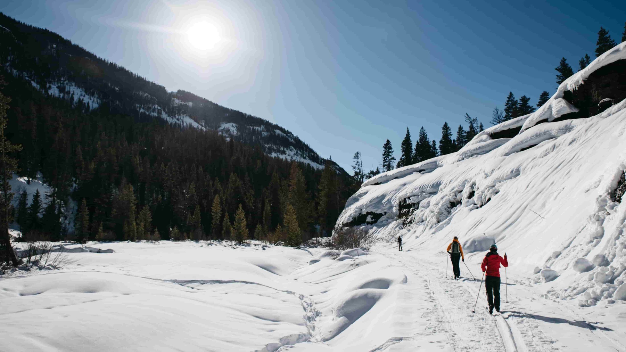 Park County Cody Yellowstone, WY: Your Complete Visitor Guide